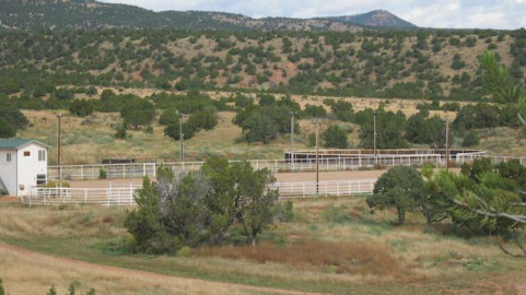 Visit Red Canyon Stables