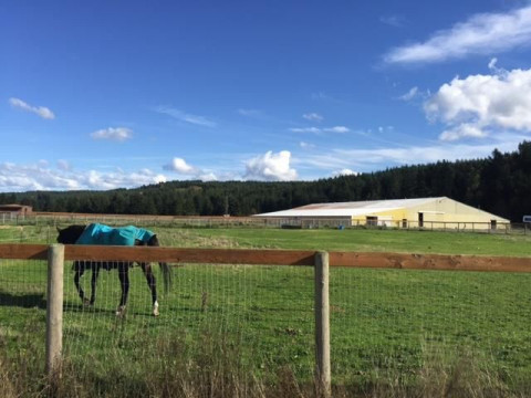 Visit Johnson's South Sound Equestrian Center