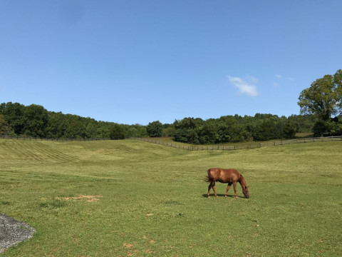 Visit One Oak Farm