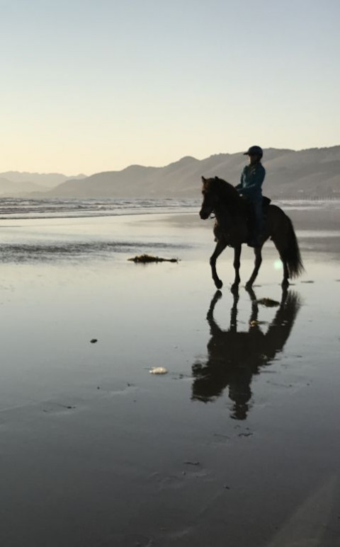 Visit Kitt Jenae's Mobile Horse Training With Care