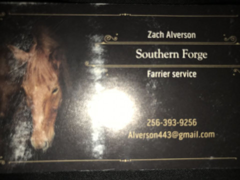 Visit Southern Forge farrier services