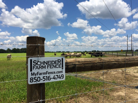 Visit Schneider Farm Fence