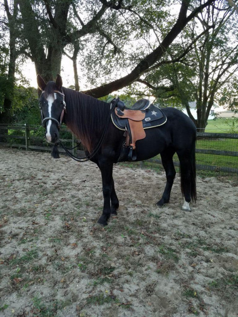 Horseback Riding In Delaware Horseback Riding In Delaware