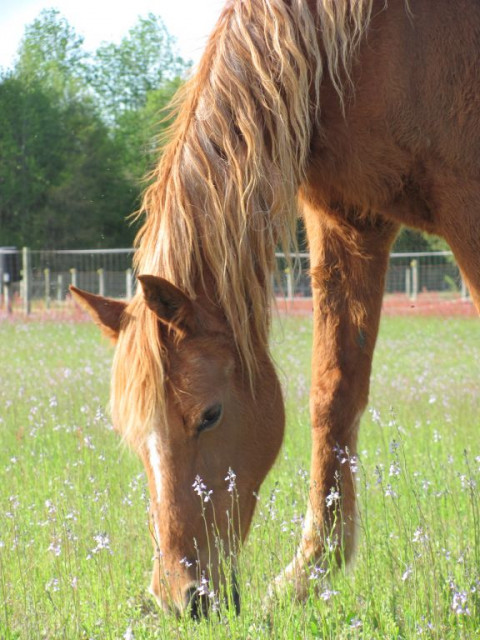 Visit TWIDDLE DEE FARM