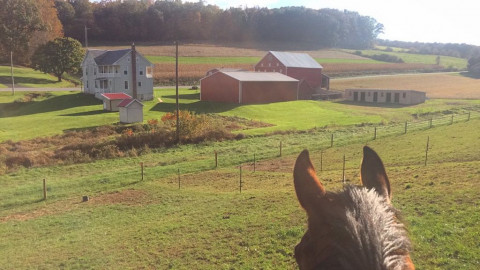 Visit Hickory Ridge Farm