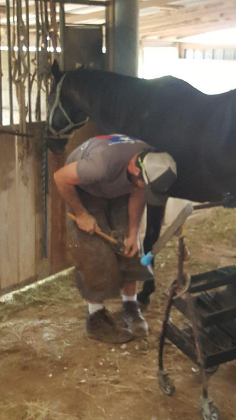 farrier services near me