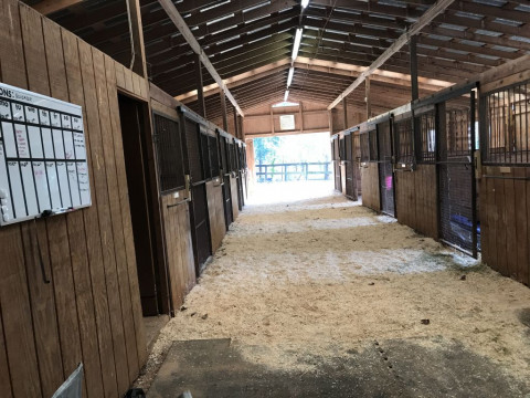 Visit BAM Equine