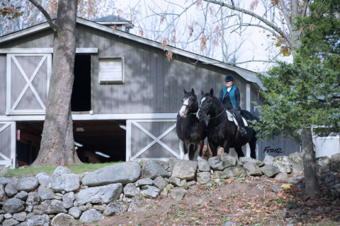 Visit RY Farms - Horse Boarding