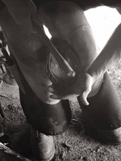 Visit Diamond D Farrier Service