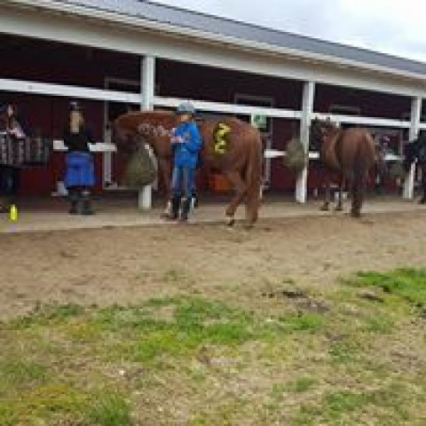 Visit Alaska Horse Ranch