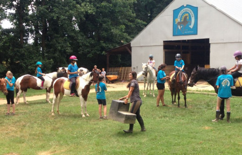 Visit Adopt-A-Horse Camp - Leg Up