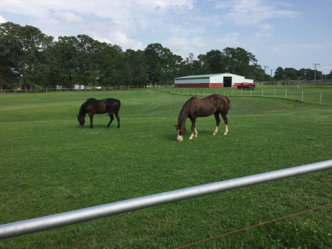 Visit The Rusted Fence