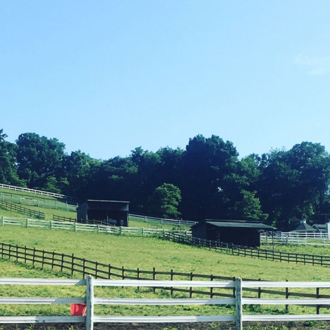 Visit Harmony Hills Equestrian Center