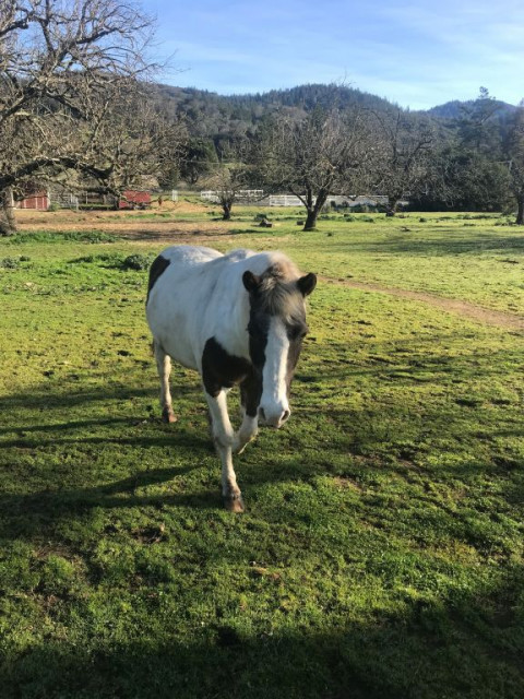 Visit The Pony Express Ranch