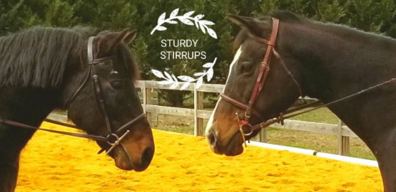 Visit Sturdy Stirrups LLC