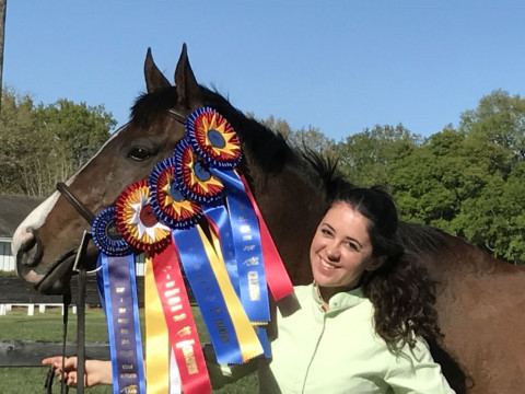 Visit Amazing Grace Equestrian - Debbie Natarella