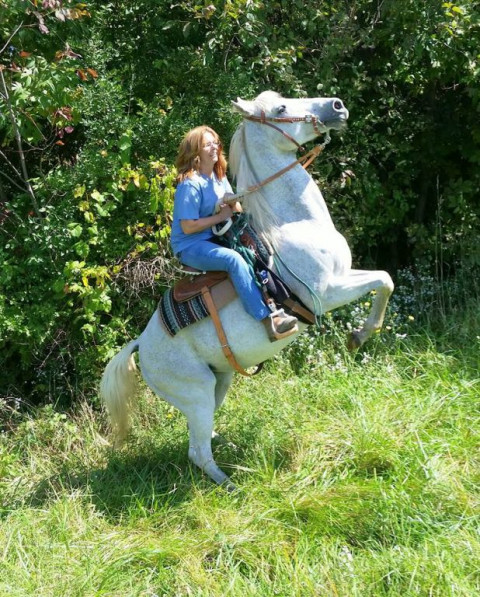 Visit Cathy's Corral Horseback Riding ~ Pony Parties, Trail Rides, Riding Lessons