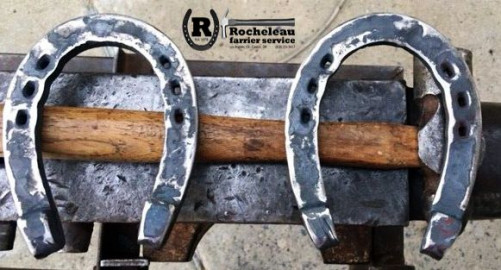 Visit Rocheleau Farrier Service