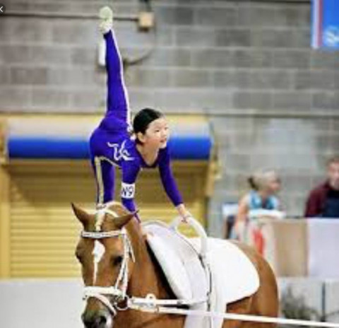 Visit GYMNASTICS AND PONIES @ FLORIDA EVERGLADES EQUESTRIAN CENTER