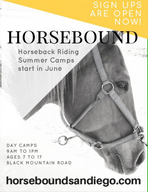 Visit horsebound