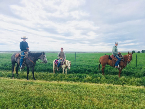 Visit Dalton Brothers Horses