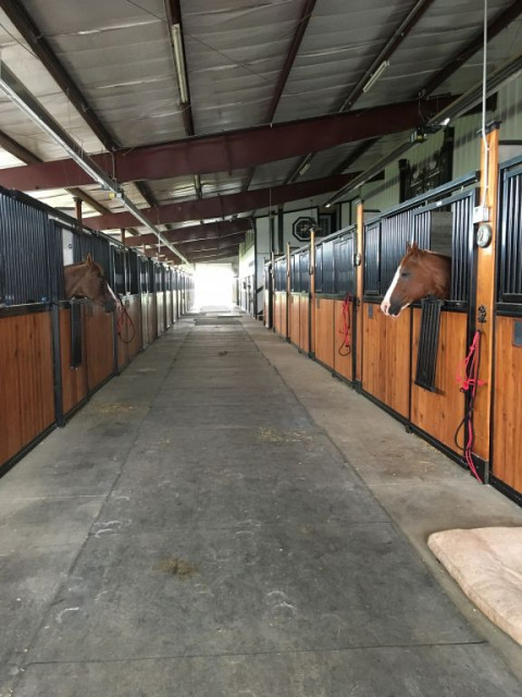 Visit GauxPro Performance Horses