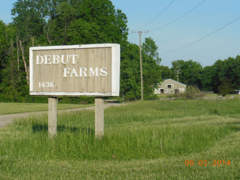 Visit Debut Farm