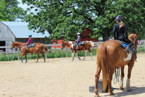 Visit Liberty Equestrian Center, LLC