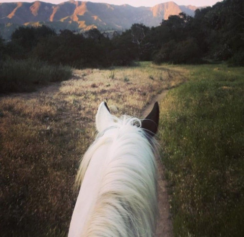 Visit River Rock Ranch