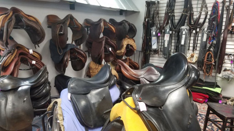 Tack In Spring Hill Tn Saddle English And Western Horse Accompanying Listing Photograph