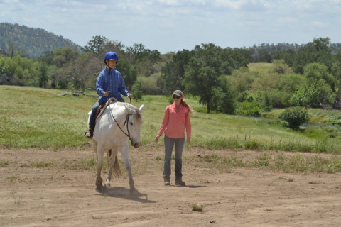 Visit Samantha Salomon Horsemanship