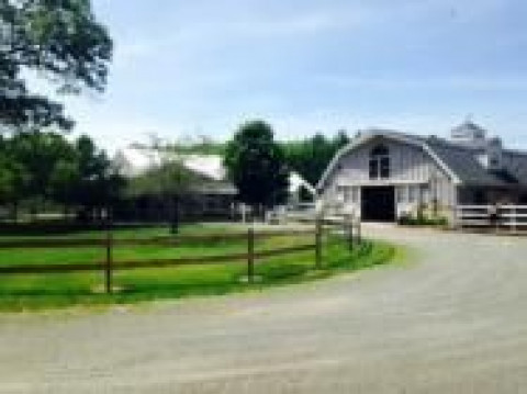 Visit Lincoln Meadow Horse Farm