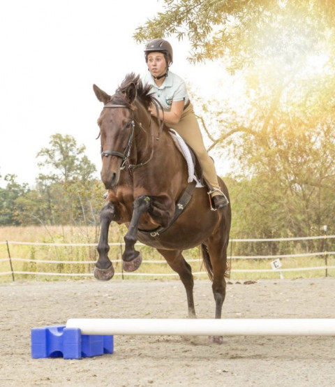 Visit Sterling Harbor Stables