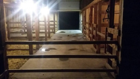 Visit Theron Equestrian Connection