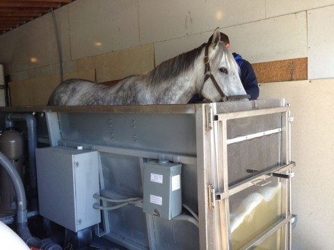Visit Rogers' Farm near Pennational Grantville PA