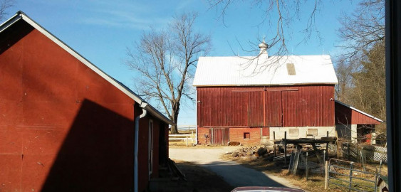 Visit Beckman Farm