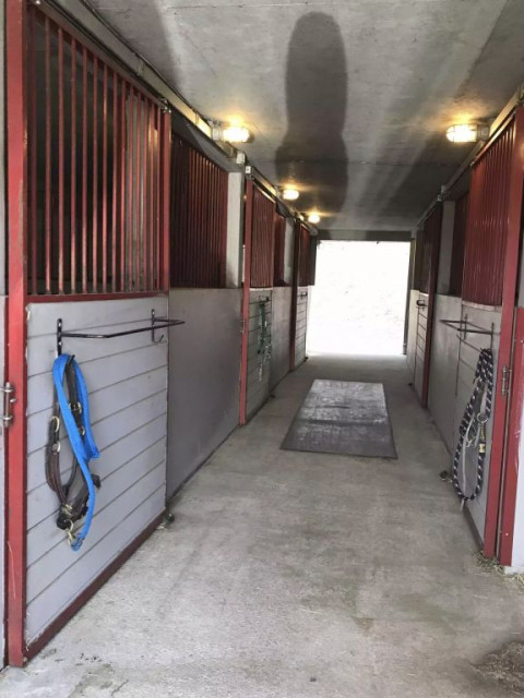 Visit Plainfield Equine