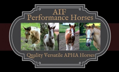 Visit AIF Performance Horses