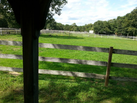 Visit Cranberry Bog Farms