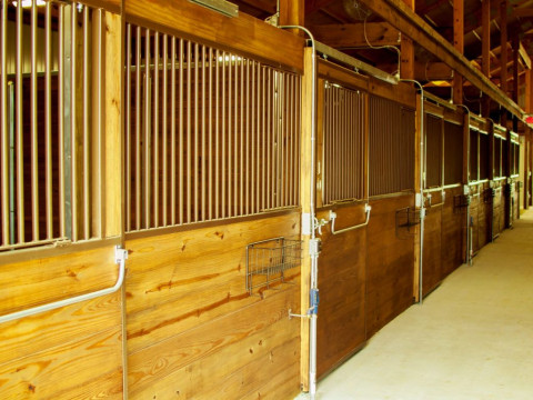 Visit Millstone Stables