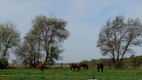 Visit Cherry Valley Equestrian Center