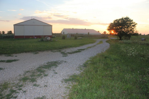 Visit Hidden Brooke Horses