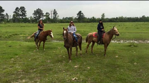 Visit Tarkington Trail Rides and Stables