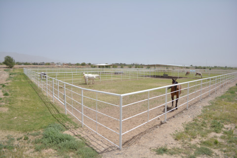 Visit Debacs Equestrian Center