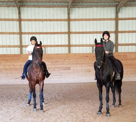 Visit Neu-View Stables