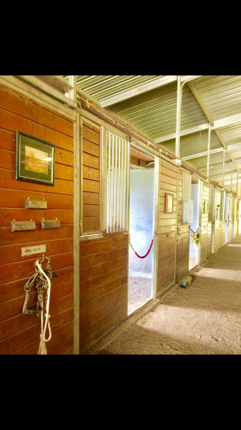 Visit South Pond Farm Horse Boarding Private Farm