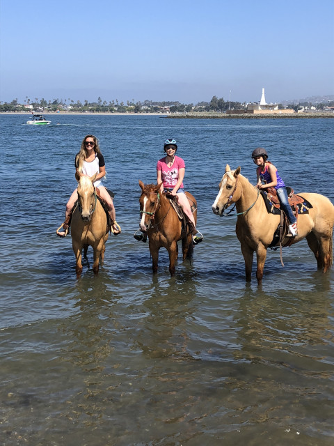 Visit Western riding Lessons and Horse Training