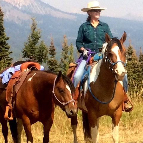 Visit HolidayHorseCare.com - Horse Boarding with Rosi Slater