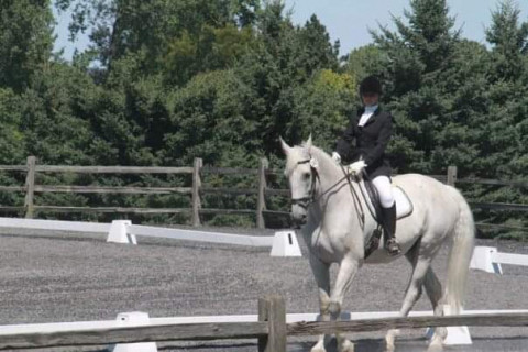Visit Dressage Principles