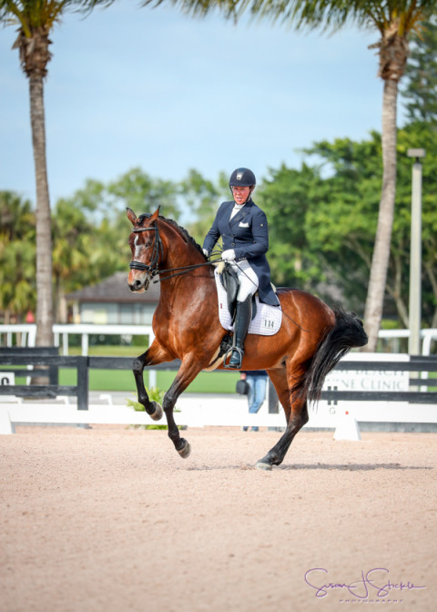 Visit Herslow Dressage- Kimberly Herslow